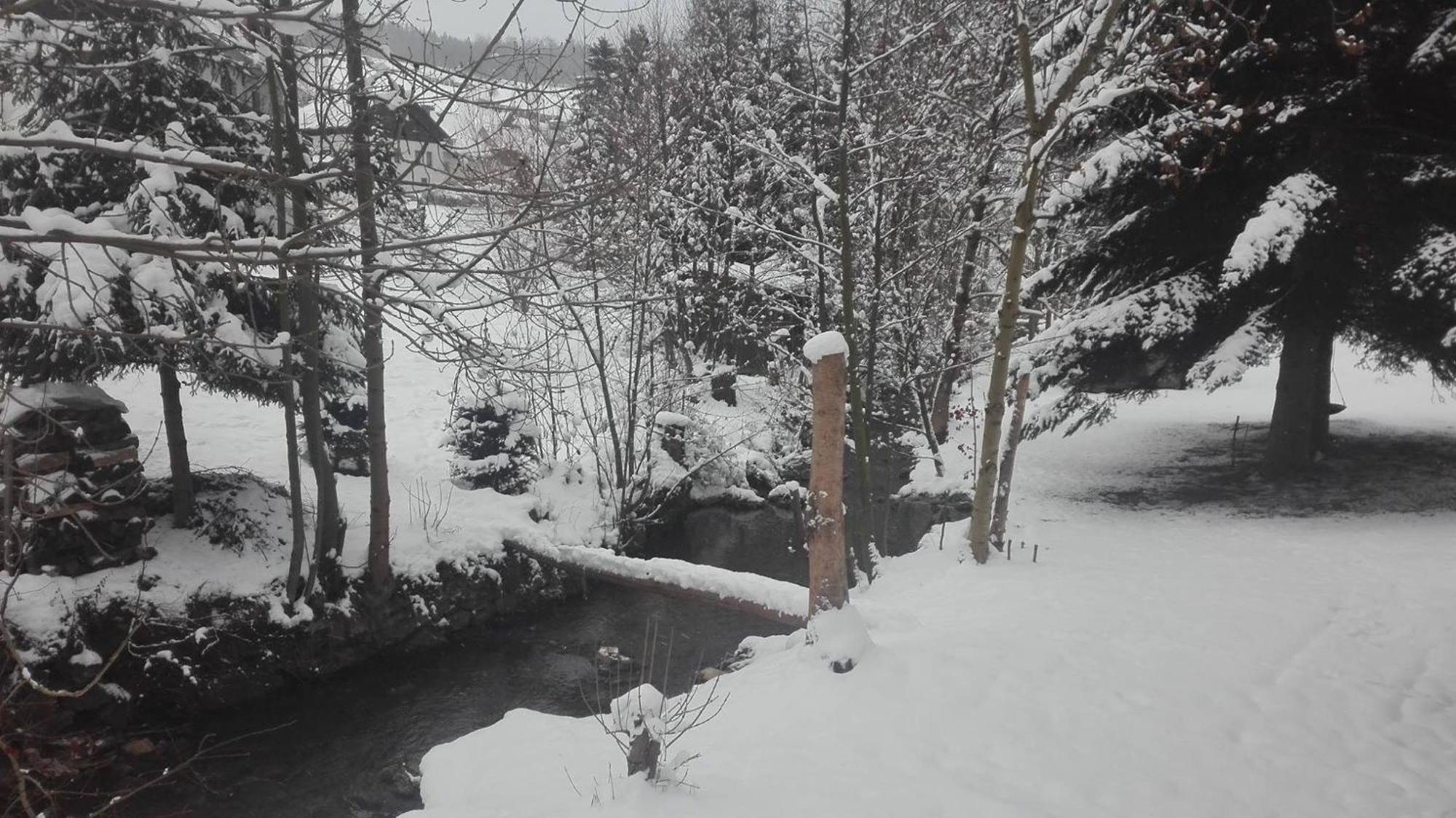Penzion "V Zeleny" Rokytnice nad Jizerou Bagian luar foto